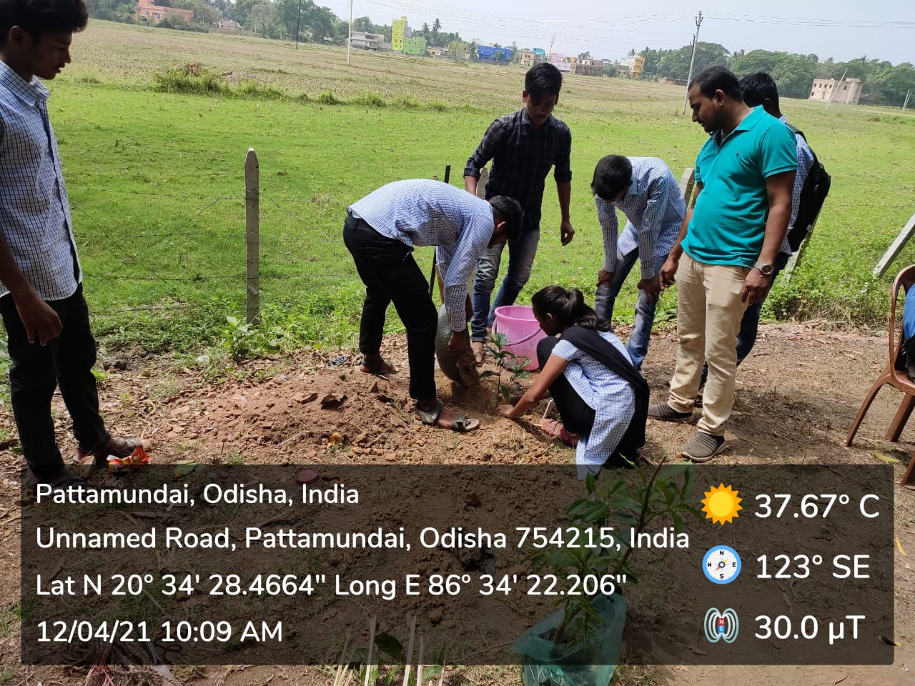 PLANTATION PROGRAMME BY DEPARTMENT OF ECONOMICS