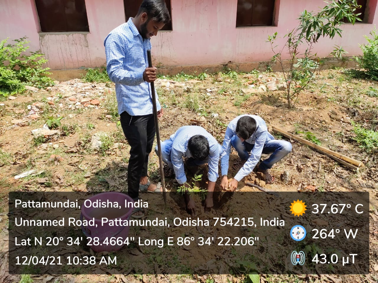 PLANTATION PROGRAMME BY DEPARTMENT OF ECONOMICS