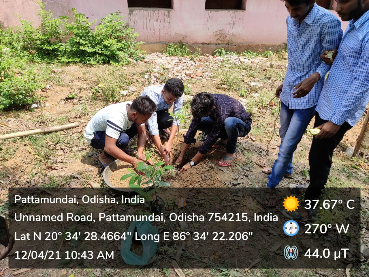 PLANTATION PROGRAMME BY DEPARTMENT OF ECONOMICS