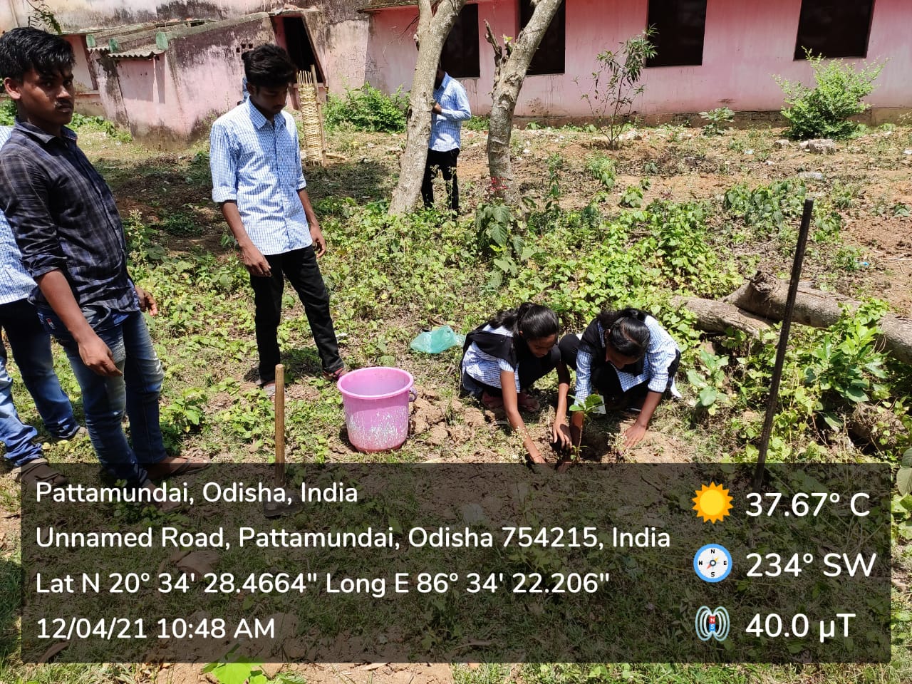 PLANTATION PROGRAMME BY DEPARTMENT OF ECONOMICS