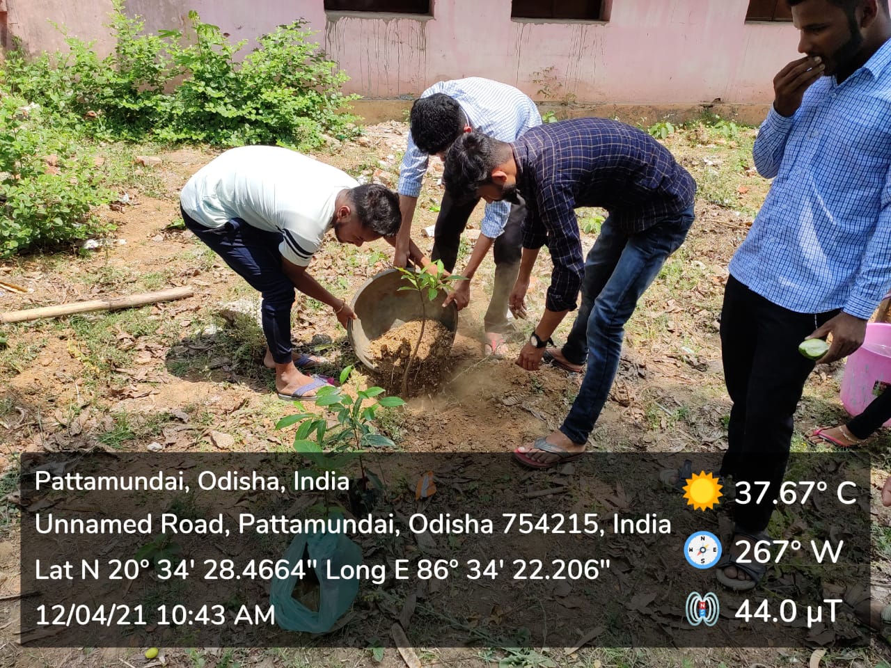 PLANTATION PROGRAMME BY DEPARTMENT OF ECONOMICS