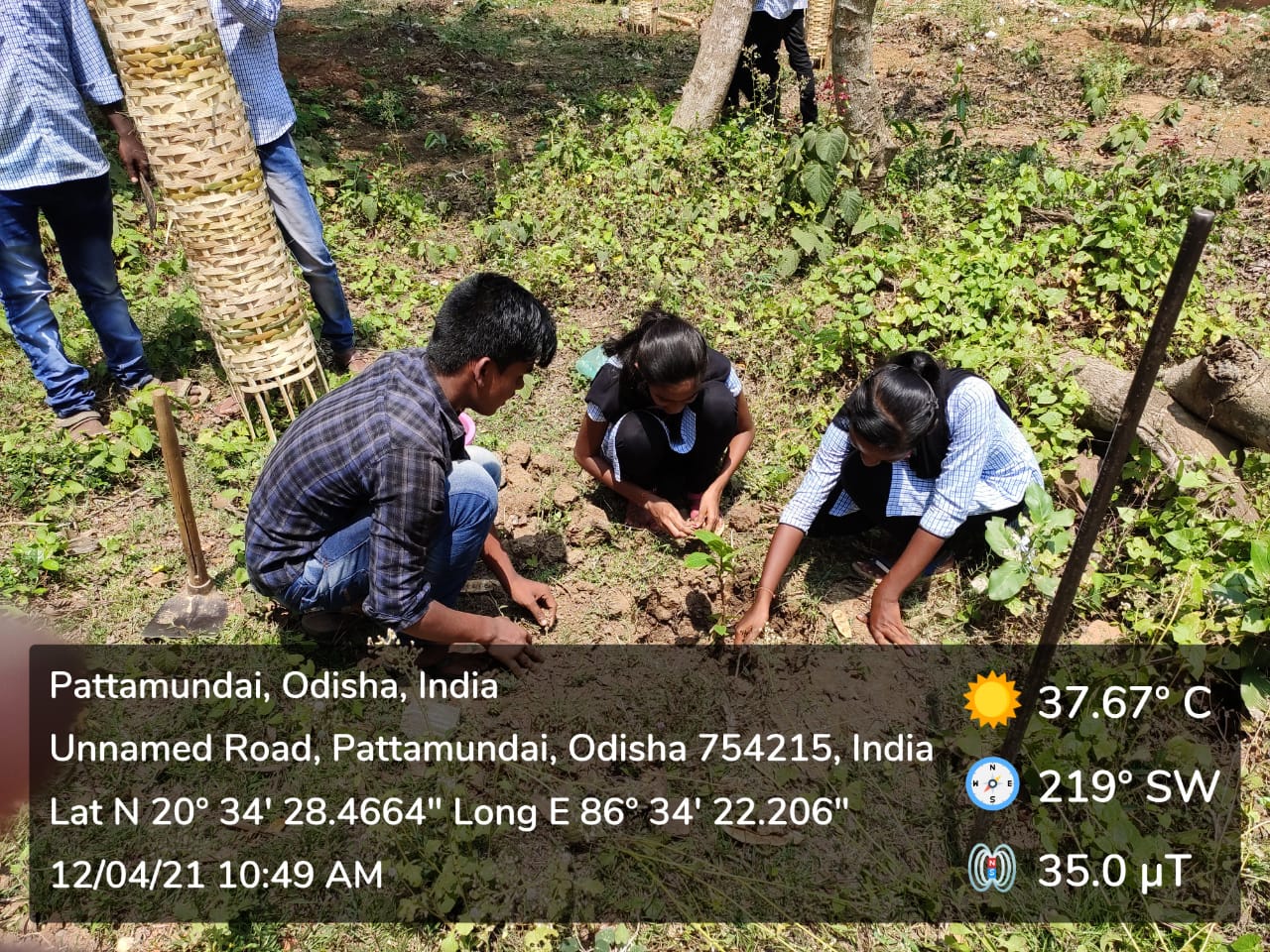 PLANTATION PROGRAMME BY DEPARTMENT OF ECONOMICS