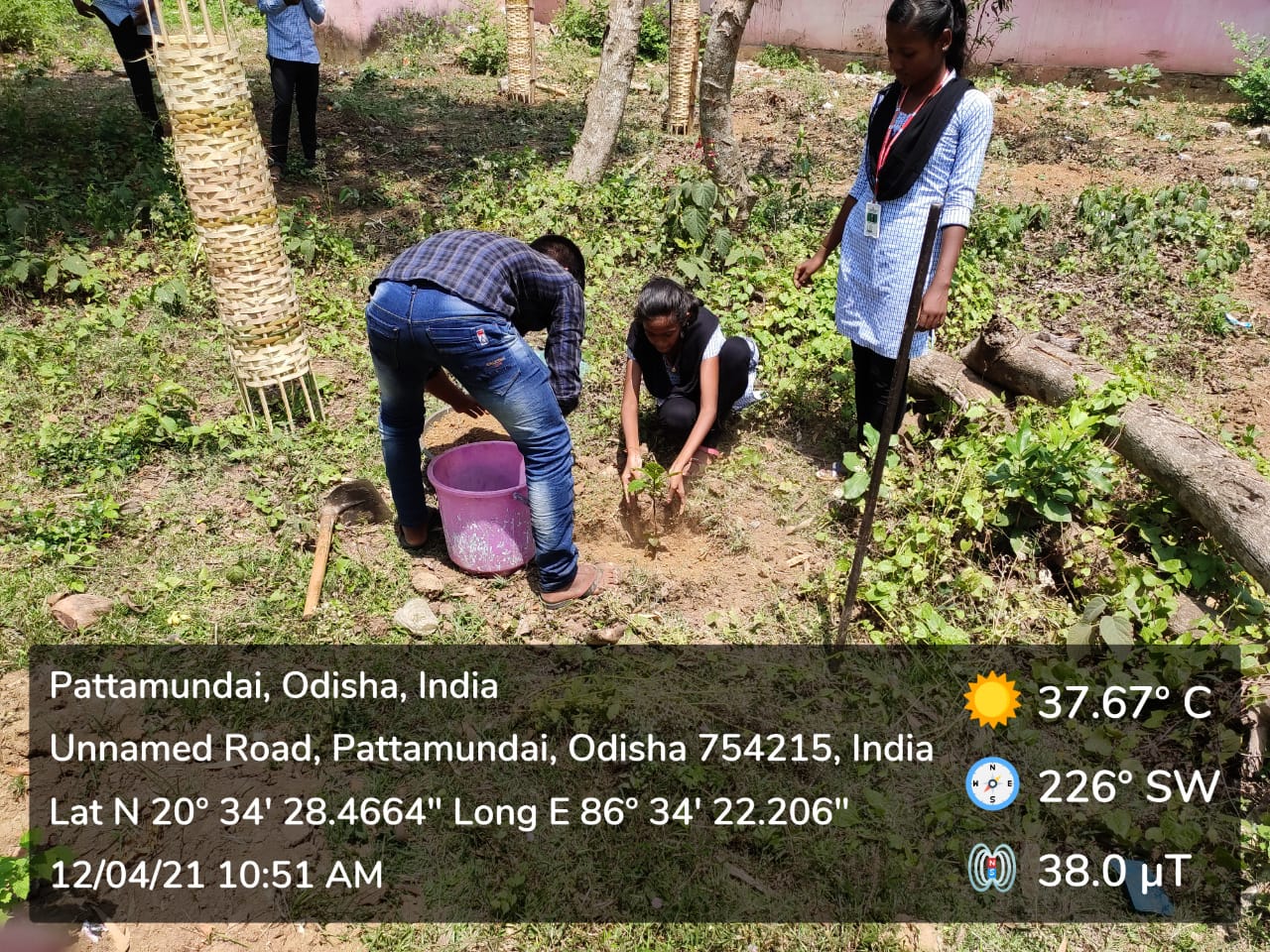 PLANTATION PROGRAMME BY DEPARTMENT OF ECONOMICS