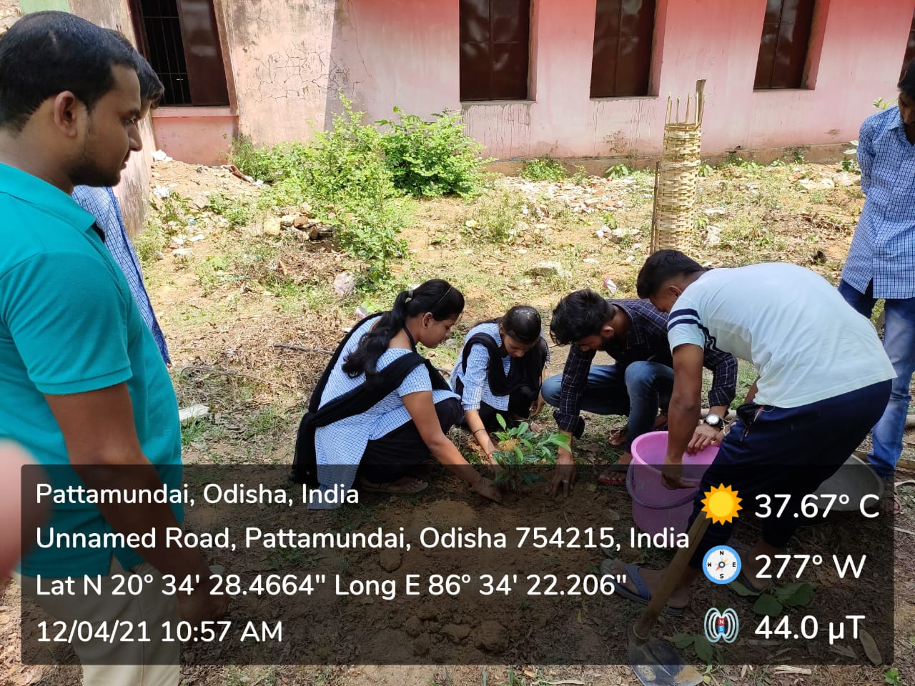 PLANTATION PROGRAMME BY DEPARTMENT OF ECONOMICS